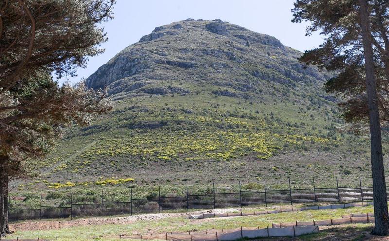 0 Bedroom Property for Sale in Noordhoek Western Cape